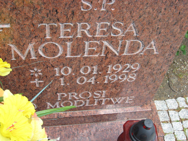 Teresa Molenda 1929 Świebodzice - Grobonet - Wyszukiwarka osób pochowanych