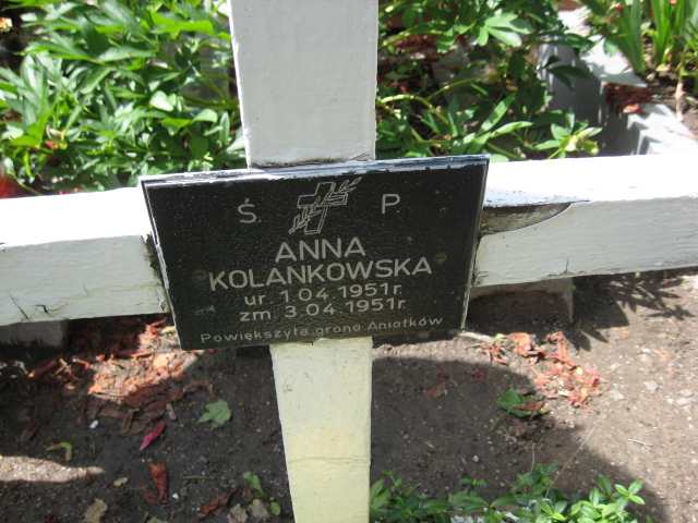 Anna Kolanowska 1951 Świebodzice - Grobonet - Wyszukiwarka osób pochowanych