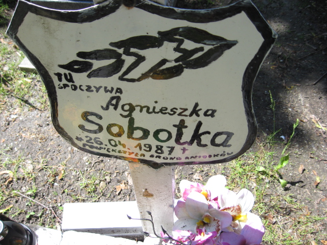 Agnieszka Sobotka 1987 Świebodzice - Grobonet - Wyszukiwarka osób pochowanych