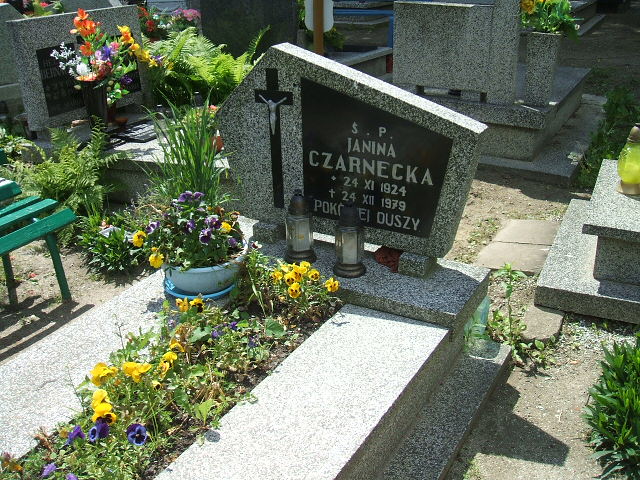 Agnieszka Gniewek 1980 Świebodzice - Grobonet - Wyszukiwarka osób pochowanych