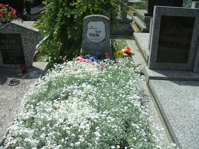 Barbara Rasztar 1945 Świebodzice - Grobonet - Wyszukiwarka osób pochowanych