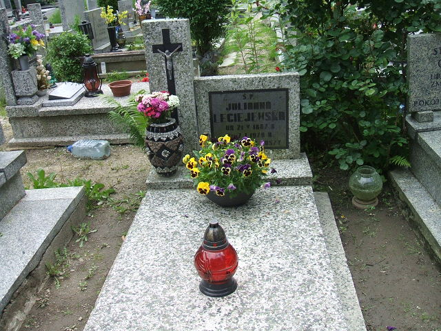 Julianna Leciejewska 1887 Świebodzice - Grobonet - Wyszukiwarka osób pochowanych