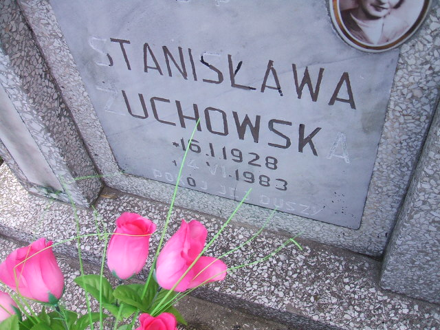 Anna Żołnowska 1938 Świebodzice - Grobonet - Wyszukiwarka osób pochowanych