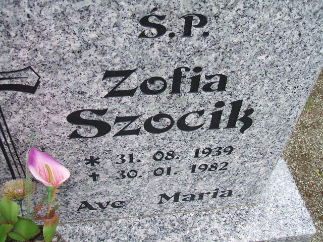 Antoni Szocik 1959 Świebodzice - Grobonet - Wyszukiwarka osób pochowanych