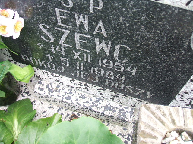Ewa Szewc 1954 Świebodzice - Grobonet - Wyszukiwarka osób pochowanych