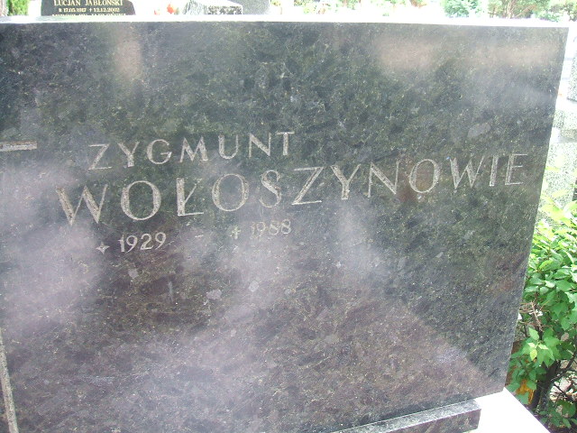 Zygmunt Wołoszyn 1929 Świebodzice - Grobonet - Wyszukiwarka osób pochowanych
