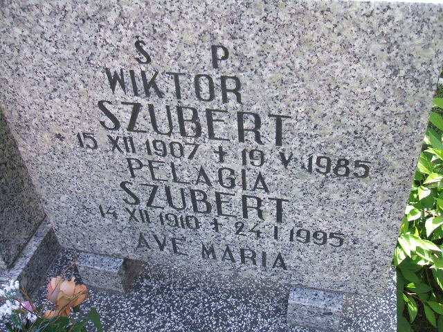 Pelagia Szubert 1910 Świebodzice - Grobonet - Wyszukiwarka osób pochowanych
