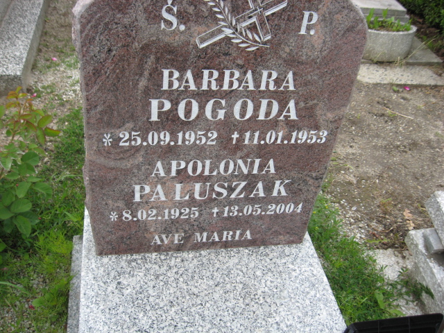 Apolonia Paluszak 1925 Świebodzice - Grobonet - Wyszukiwarka osób pochowanych